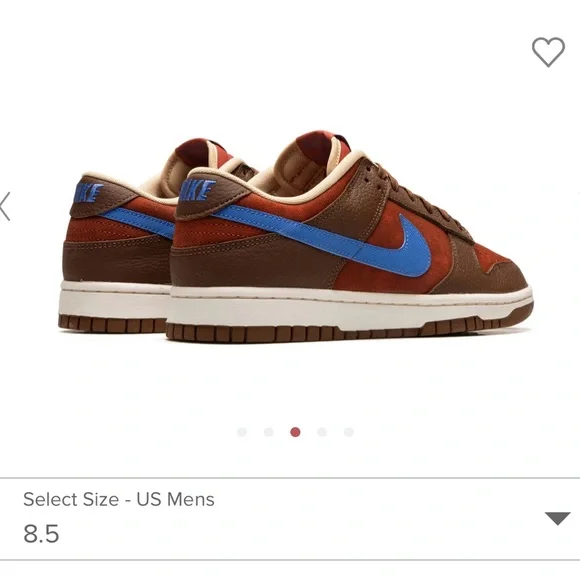 Nike dunk retro premium